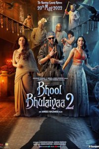 Download Bhool Bhulaiyaa 2 (2022) {Hindi} WEB-DL 480p [458MB] || 720p [1.1GB] || 1080p [2.4GB]